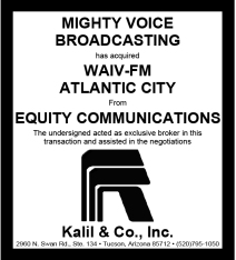 Website-Equity-Mighty-Voice